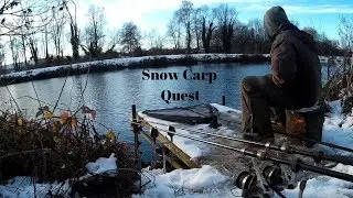 Snow Carp Quest