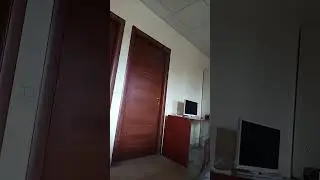 Verde militare