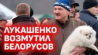 Бабарико начинает действовать: подробности. Лукашенко решил откатить всё назад: что случилось?