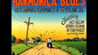 Harmonica rag.wmv