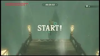 What Weapons Should You Keep on You? (The Legend of Zelda: Breath of the Wild)