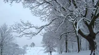Solitude Forest-A Winter Spent With Rhiannon