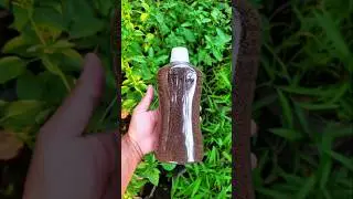 Pakan Ikan Prima Feed PF-1000 : Pakan Ikan Protein Tinggi Untuk Ikan Lele, Nila dan Gurame