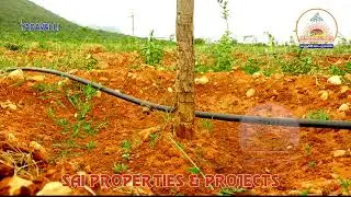 Yadavalli | SKG-II | Sai Properties & Projects |