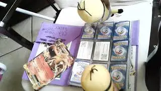 Slg: Pok&eacute;mon battle