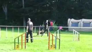 20140907 1118071 Lelystad Vast Parcours 1 Carat Wedstrijdklasse