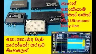කාටත් නොකියාම අවසන් ගමන් ගිය Ultrasound Delay Line