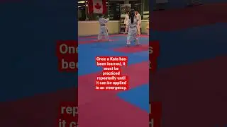 karate kata training.