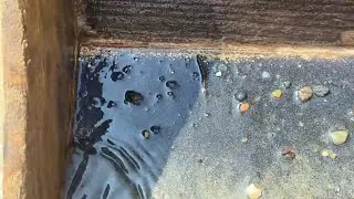 Hand panning for alluvial gold with experience will help you find a lot of gold.