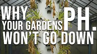 The Most Common Reason Hydroponic Gardens FAIL! Troubleshooting Tower Gardens and Ph. Problems