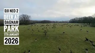 Flight at Dagnam Park with the DJI Neo 2