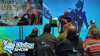 Go Diving Show 2024