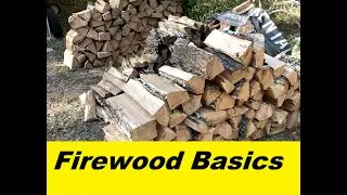 Firewood Basics, Get Free Wooded Land