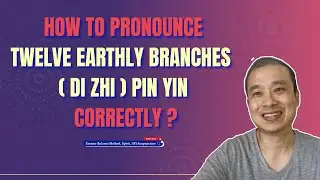 1. The Twelve Earthly Branches (Di Zhi) Pin Yin-How to pronounce it correctly