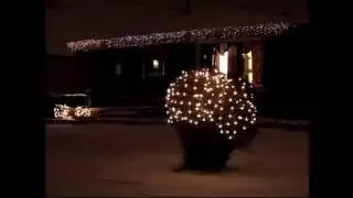 Christmas Lights 2008