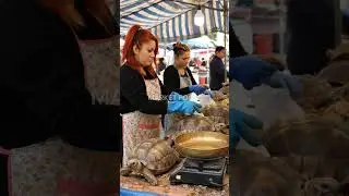 Exotic Animal Market: Unique Turtles and Snakes at Traditional Asian Stalls.@darmawanfood-ai