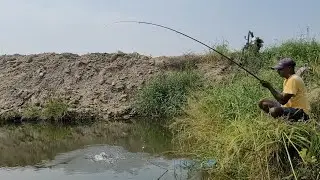 Small Single Hook fishing|Fisherman Catching Tilapia fishes by Float in Village Pond|Unique fishing