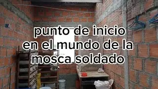 características de la infraestructura de inicio para la mosca soldado