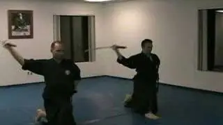 Iaido - Shohatto