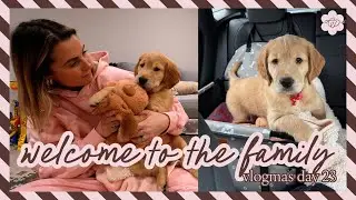 New member of the family!! Vlogmas Day 23 ❤️ - Caroline x