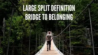 Large Split Definition &ndash; Bridge to Belonging
