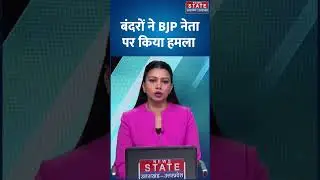 Monkey Attack In Hapur: हापुड़ में बंदरों का आतंक, BJP नेता पर किया हमला | Video Viral | UP News