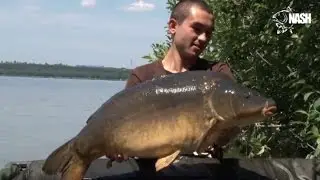 KARPIOWANIE NA ŚLĄSKIEJ ZAPORÓWCE  -  NASH TACKLE