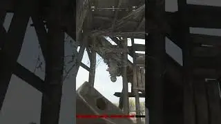 Качественная поддержка команды и прорывы стен FTW #huntshowdown1896