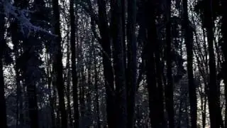 Nautic Depths / Tomas Weiss & Mathias Grassow - Siberian winter (Musical Philosophy)