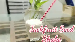 ചക്കക്കുരു ഷേക്ക് ആണ് താരം/Health drink/Chakkakuru shake/Jackfruit seed shake
