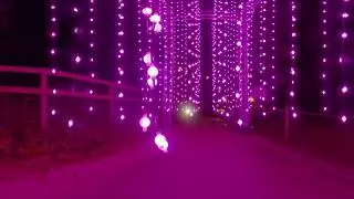 Stourhead Christmas Lights in 360 Ultra Ultra HD