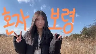 보령이 건넨 평화를 보렴
