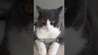 CAT's eyes like the eye of Sauron from The Lord of the Rings