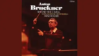Symphony No. 8 in C Minor, WAB 108: I. Allegro Moderato