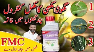 Complete Control of Root Borer & Termite | FMC Chlorpyrifos Full Guide | Farming Expert 786