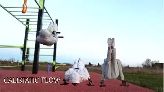 CALISTATIC FLOW | PULL & PUSH #frontlever #calisthenics#streetworkout#bodyweighttraining