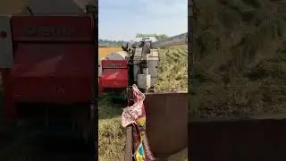 Deli life vlog video #japan  #kubota harvestar