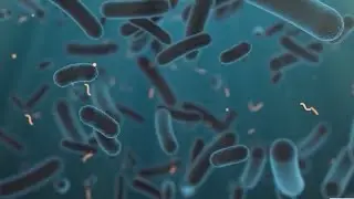 More positive test results for Legionella bacteria in New York City buildings