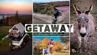 WEEKEND GETAWAY IN PARRSBORO, NOVA SCOTIA, CANADA. Farm animals, Airbnb cottage, stunning nature