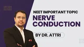 NERVE CONDUCTION    IMPORTANT TOPIC FROM NERVOUS SYSTEM