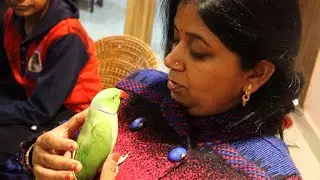 Mera Mithoo Kitna Bolta hai, lekin uski baatein bahut achi lagti hai | Aap bhi suniye mere Mithoo ko