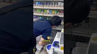 Smart Anti-Theft Trick! Metal Mesh Stops Thieves Fast