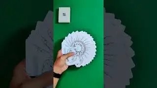 Riffle Fan #cardistry