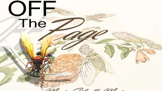 Off the Page - Maria Sibylla Merian