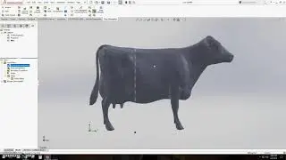 SOLIDWORKS ВЫЧИСЛИТЕЛЬНАЯ ГИДРОДИНАМИКА КОРОВЫ