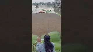 Female Captain | Life on the Mekong River