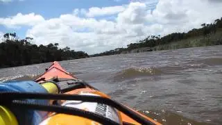 Tarwin river paddle