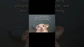 #memes #memesdaily #memestagram #memesfordays #memesita #memesaremee #memesespa #memesenespa