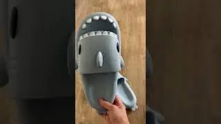 SHARKSLIDES SLIPPERS || WHAT IS LIKE TO BECOME VIRAL