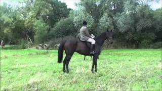 2015 09 05 The Worcestershire Hunt